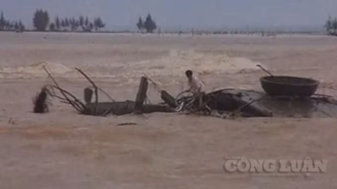 Cơn Đại Hồng thủy xảy ra vào năm 1999.