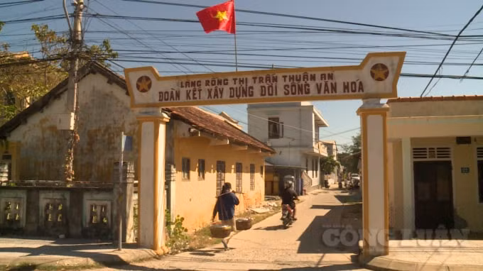 Làng Rồng hôm nay.