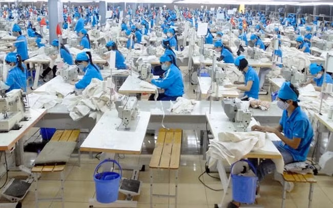 gilimex gil kien amazon 280 trieu usd doanh thu quy 3 lao doc co phieu bi ban thao hinh 1