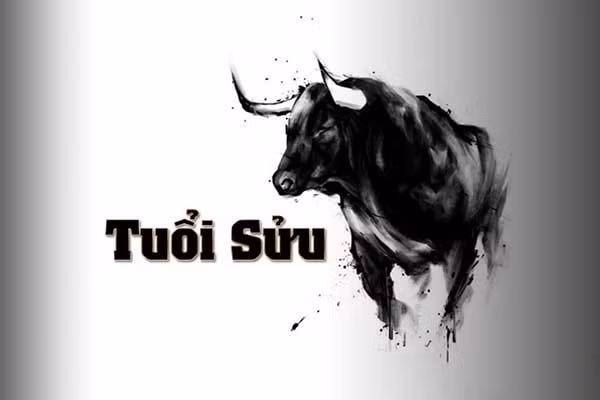 tu vi tuoi suu nam 2023 chu y suc khoe hinh 1