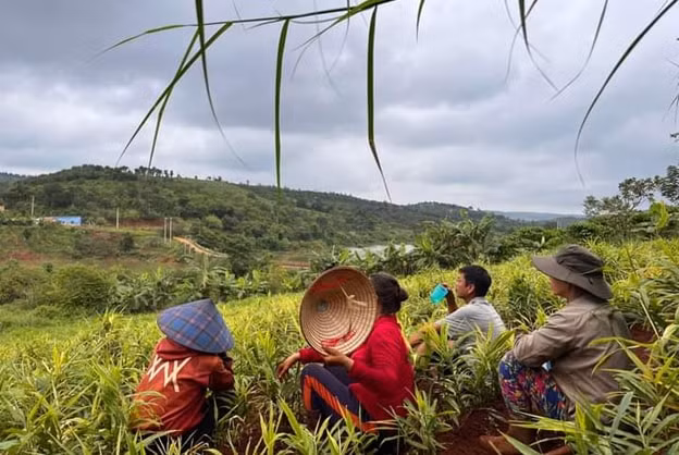 gia gung tuoi cham day nguoi nong dan nom nop lo mat tet hinh 1