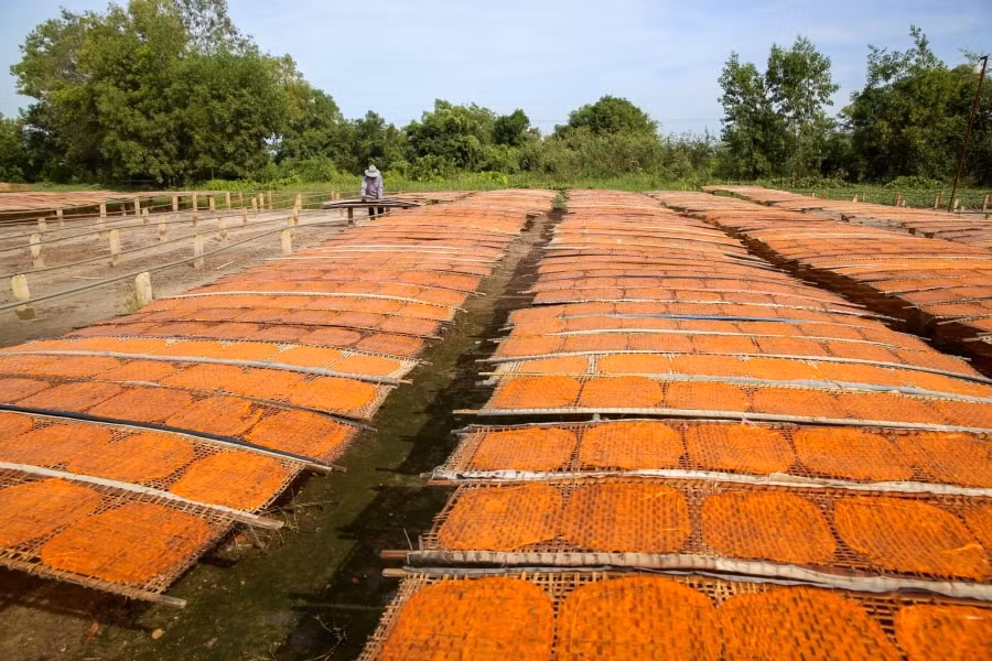 le hoi vinh danh nghe lam banh trang phoi suong tai tay ninh hinh 3