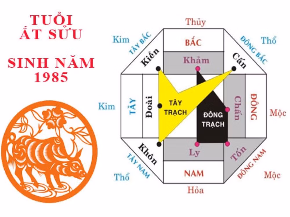 huong nha hop phong thuy cho tuoi at suu 1985 hinh 1