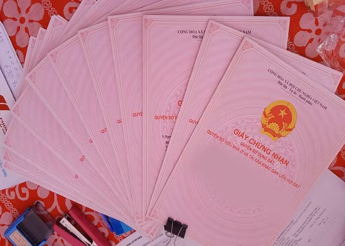 bat doi tuong lam gia so hong lua ban tien ty o binh thuan hinh 1