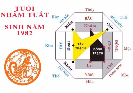huong nha cho gia chu tuoi nham tuat 1982 hinh 1