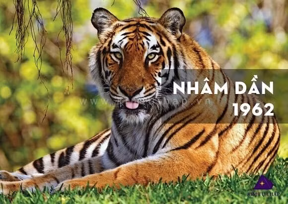 tu vi tuoi dan 2023 theo tung nam sinh hinh 1