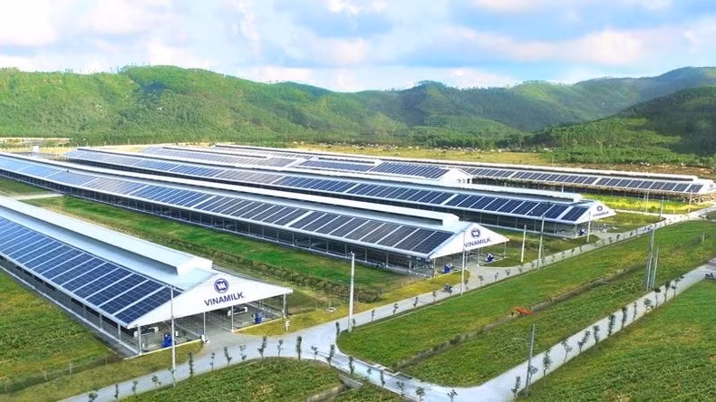 vinamilk la doanh nghiep viet nam duy nhat duoc vinh danh la tai san dau tu co gia tri cua asean hinh 2