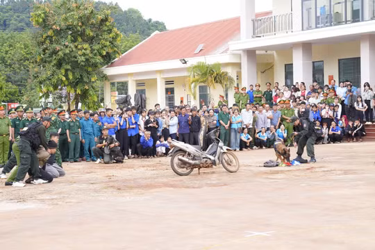 Gia Lai mở chiến cao điểm 90 ngày, truy quét tội phạm ma túy trên tuyến biên giới