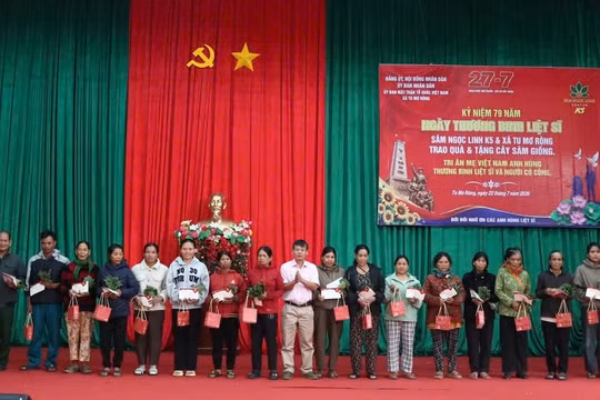 Quảng Ngãi: Tặng hơn 18.500 cây giống sâm Ngọc Linh trị giá hàng tỷ đồng cho gia đình người có công
