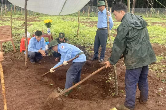 Gia Lai: Phát hiện một hài cốt liệt sỹ trong quá trình đào hố cà phê