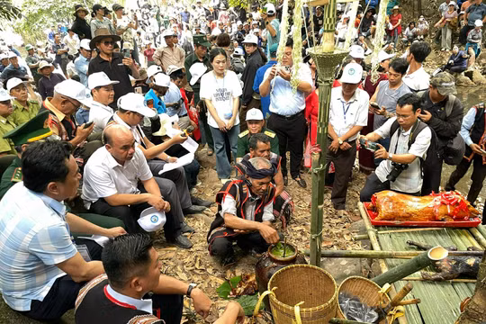 Bí quyết bảo vệ rừng thiêng bằng hương ước của người Jrai ở Gia Lai