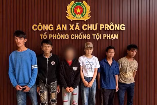 Gia Lai: Tạm giữ hình sự nhóm thanh thiếu niên giàn cảnh, dùng vũ lực cướp điện thoại của cụ ông