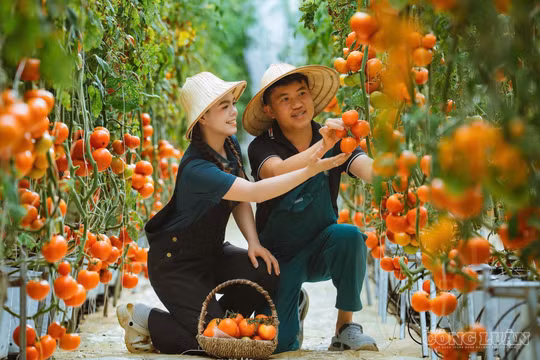 Quảng Ngãi: Trang trại nông nghiệp công nghệ cao 'mùa nào thức đó' của đôi vợ chồng xa xứ