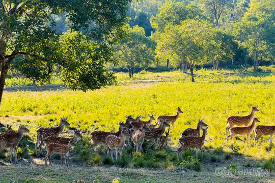 Phê duyệt đề án hơn 539 tỷ đồng, đưa Kon Ka Kinh thành trung tâm du lịch sinh thái Tây Nguyên