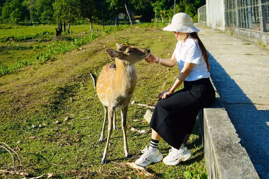 Du lịch dựa vào thiên nhiên: Cân bằng bảo tồn và phát triển