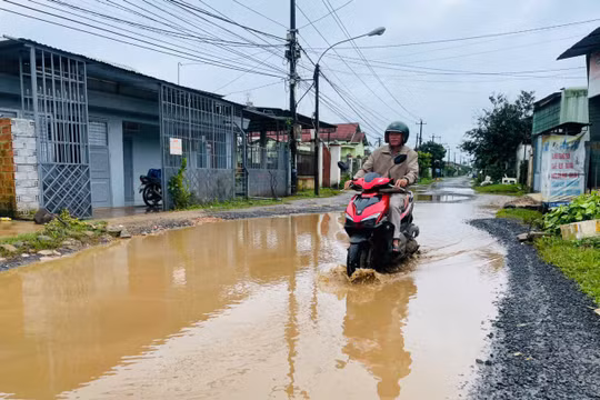 Hàng loạt tuyến đường ở Gia Lai xuống cấp, dày đặc “ổ voi, ổ gà” 