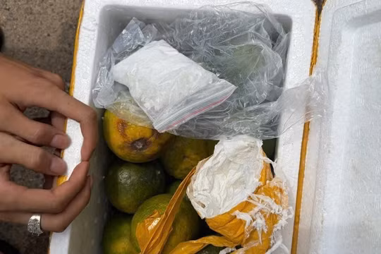 Gia Lai: Khởi tố thiếu niên vận chuyển thuê gần 100g ma túy trong thùng cam