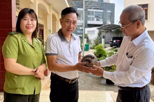 Gia Lai: Người dân tự nguyện giao nộp cá thể tê tê Java và khỉ mặt đỏ quý hiếm