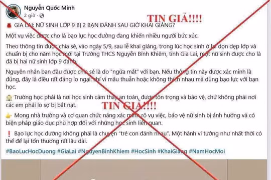 Công an Gia Lai bác tin nữ sinh cấp 2 bị đánh sau lễ khai giảng