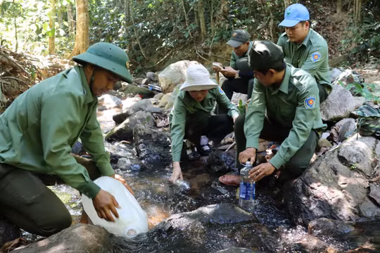 Giữa đại ngàn khô khốc, người giữ rừng chắt chiu từng giọt nước để giữ rừng