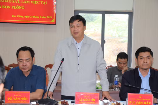 Quảng Ngãi: Xã vùng cao 'trải thảm đỏ', mời chuyên gia tìm đường phát triển kinh tế