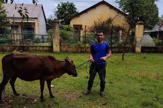 Quảng Ngãi: Trao “cần câu” sinh kế, giúp người dân vùng khó thoát nghèo bền vững