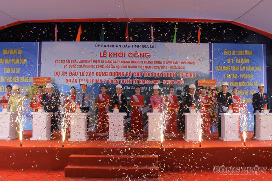 Dự án thành phần 2 cao tốc Quy Nhơn - Pleiku: Trục giao thông chiến lược nối biển xanh với đại ngàn