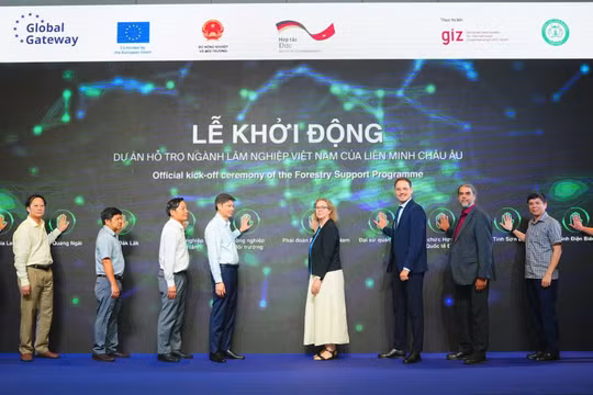 Việt Nam phối hợp với EU và Đức khởi động dự án hỗ trợ ngành Lâm nghiệp