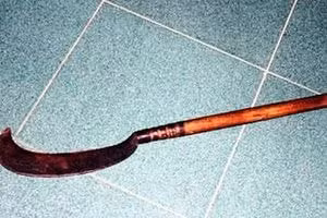 truy bat doi tuong dung rua tan cong bo ruot tu vong roi tron vao rung hinh 1