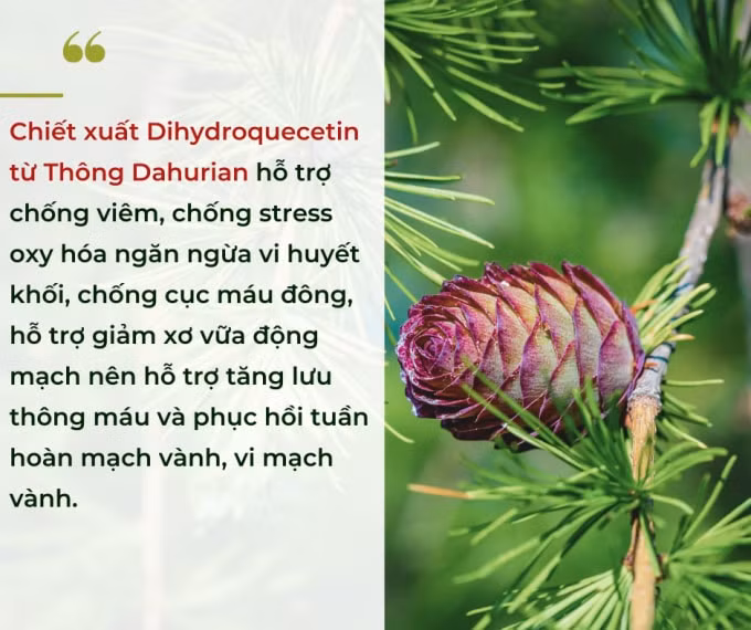 di chung tim mach hau covid 19 lam the nao de chua lanh hinh 2