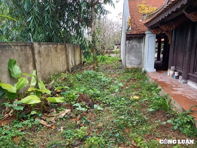 den ca du dong di tich lich su cap quoc gia bi xuong cap nghiem trong hinh 9