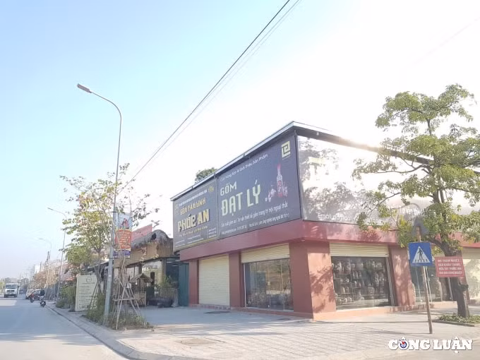 bai 2 dat cay xanh bi bien tuong ubnd huyen gia lam hop thuc hoa sai pham nhu the nao hinh 3