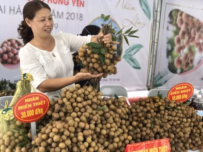 to chuc ket noi nguoi nong dan de xoa bo loi nguyen manh mun nho le tu phat hinh 4