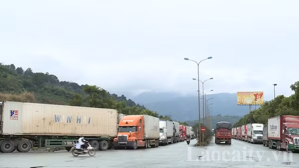 hon 2300 xe cho hang dang nam cho o cac cua khau lao cai hinh 1