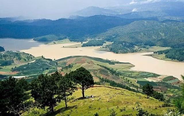 doanh nghiep xin thue 10 ha dat rung phong ho de lam du an du lich sinh thai hinh 1