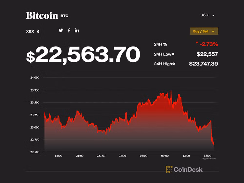 gia bitcoin hom nay 23 7 co luc vuot 23000 usd hinh 1