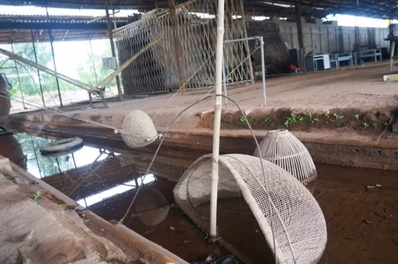 chiem nguong nhung hien vat quy tai bao tang ky vat chien tranh o ninh binh hinh 5