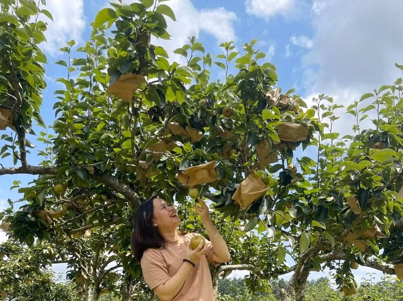 trai nghiem hai le vung cao nguyen trang bac ha hinh 1