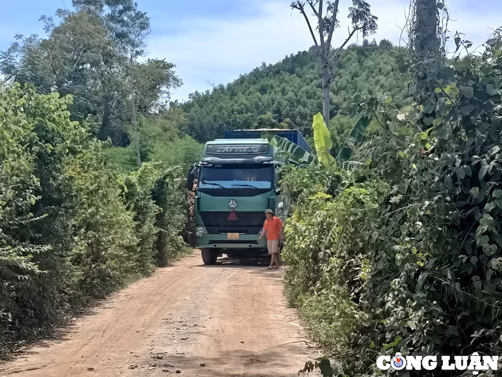 quy hop nghe an bat chap lenh dinh chi doanh nghiep van hoat dong san xuat dam go ram ro hinh 8