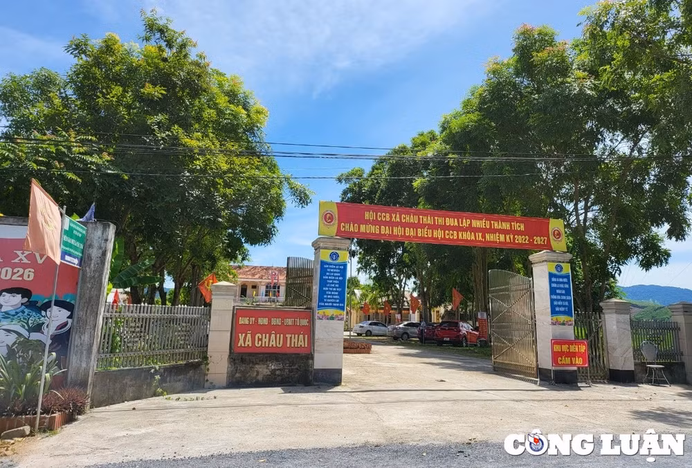 quy hop nghe an bat chap lenh dinh chi doanh nghiep van hoat dong san xuat dam go ram ro hinh 4