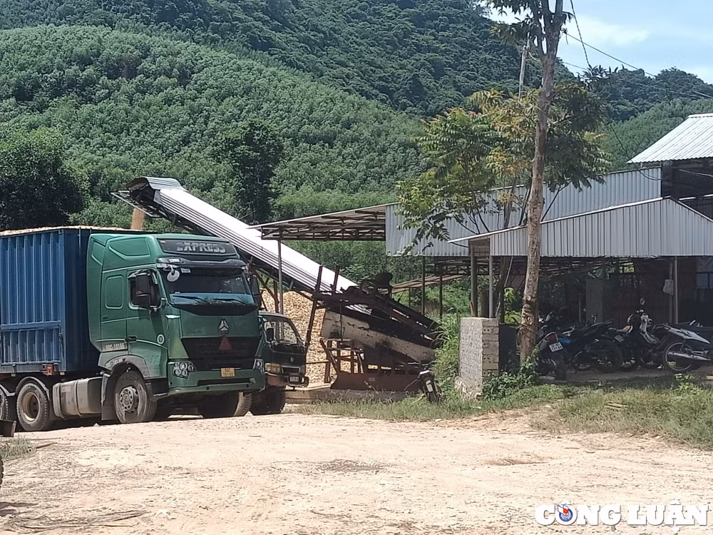 quy hop nghe an bat chap lenh dinh chi doanh nghiep van hoat dong san xuat dam go ram ro hinh 3