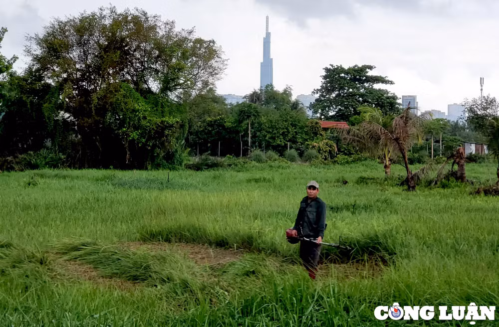 thu thiem sang chanh dang cap thanh da diu hiu nhu vung nong thon trong long thanh pho hinh 15