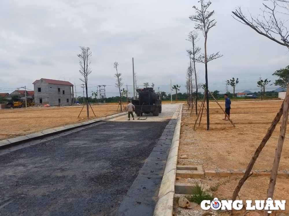 lam thao phu tho tai xa xuan huy khong co du an nao ten la dien hong riverside hinh 9