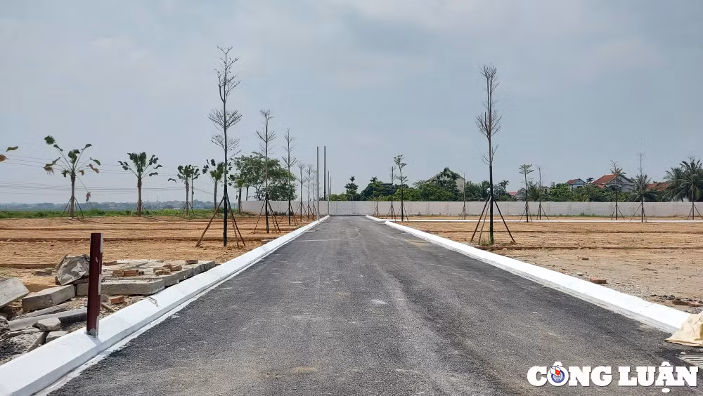 lam thao phu tho tai xa xuan huy khong co du an nao ten la dien hong riverside hinh 6