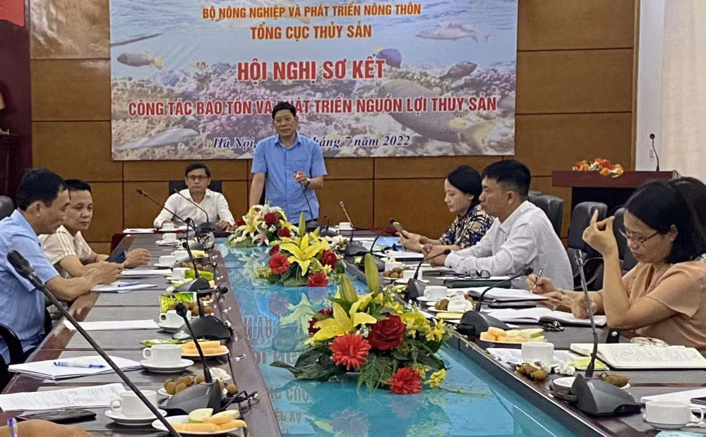 nam 2022 du kien tha 53 trieu con 150 tan giong de tai tao nguon loi thuy san hinh 3