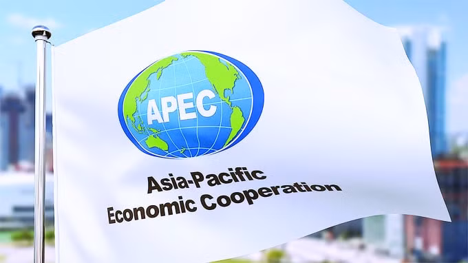 apec 2021 cung phoi hop cung hanh dong huong toi phuc hoi ben vung va bao trum hinh 1