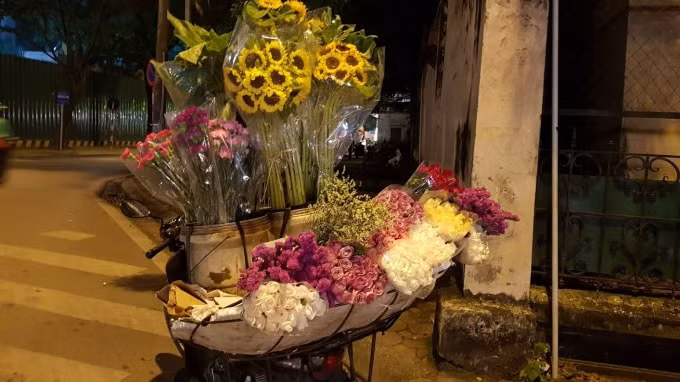can ke ngay nha giao viet nam gia hoa tuoi tang manh vi xang o nguong cao hinh 3
