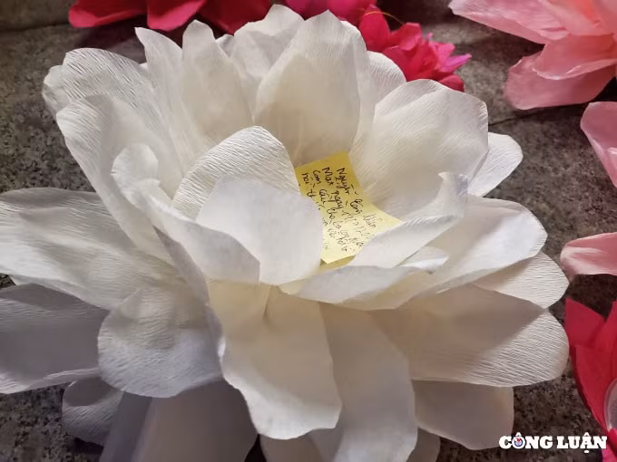 hang ngan nguoi dan tp hcm tha hoa dang tuong niem 23476 nguoi mat vi covid 19 hinh 7