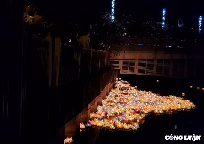 nhung be hoa dang cho nang noi niem nguoi o lai hinh 12