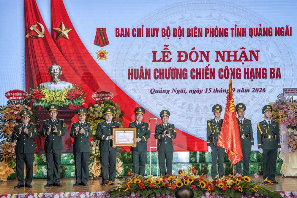 97.jpg
